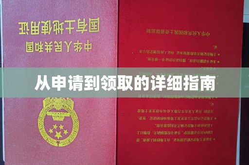 肃北从申请到领取的详细指南