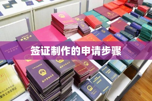 肃北签证制作的申请步骤