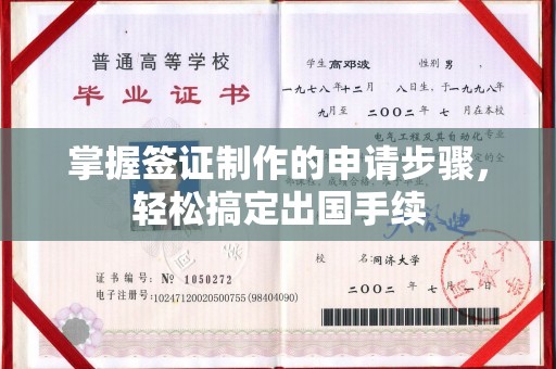 肃北掌握签证制作的申请步骤，轻松搞定出国手续