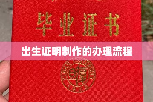 肃北出生证明制作的办理流程