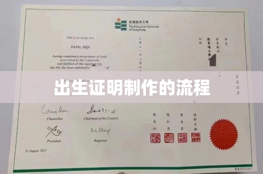 肃北出生证明制作的流程