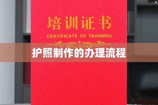 肃北护照制作的办理流程